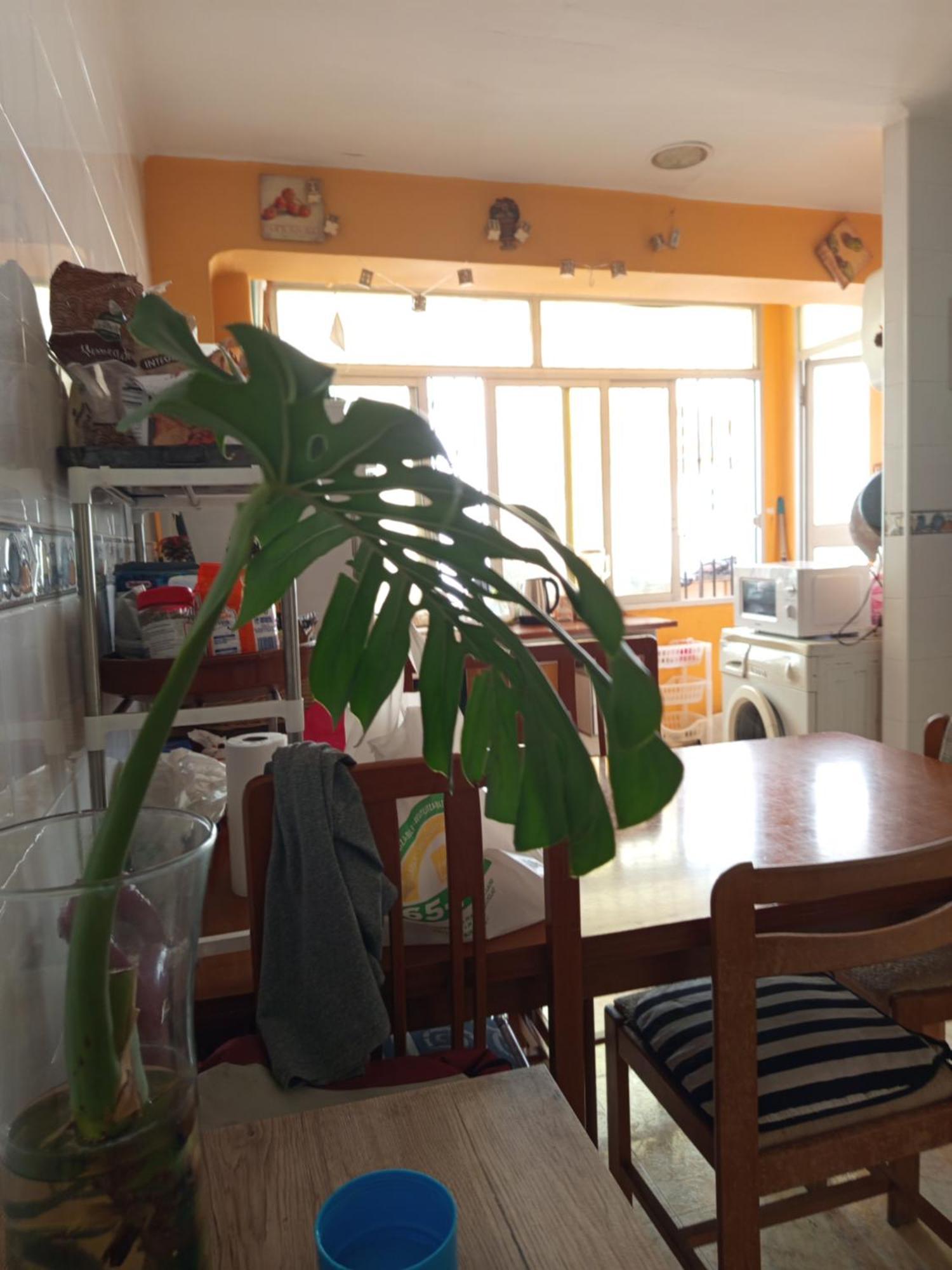 Habitaciones Comodas กันดิอา ภายนอก รูปภาพ